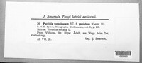 Puccinia albulensis image